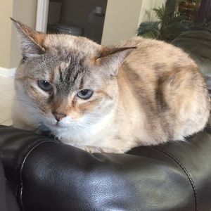 Meet your Posher, Rebecca